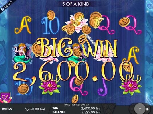 A 2,600.00 big win triggered during the free spins feature.