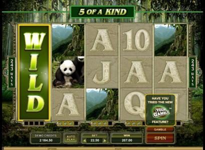 expanded wild leads to 5 fo a kind and a 207 credit big win