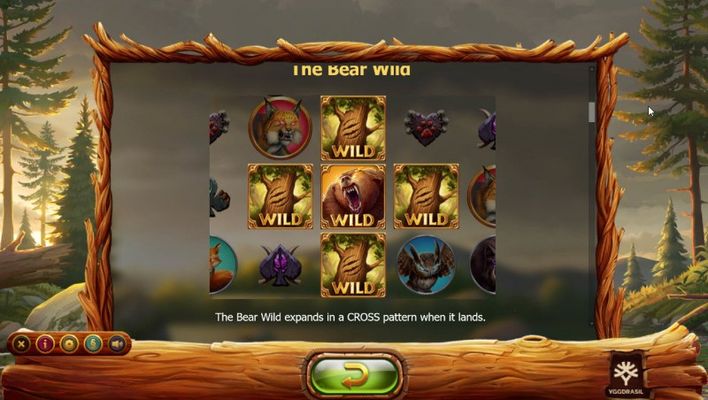 Bear Wild