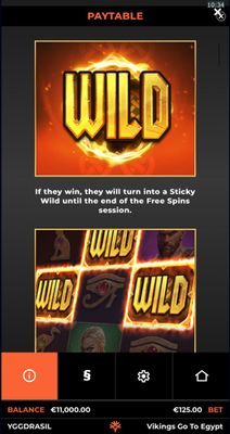 Wild Symbol