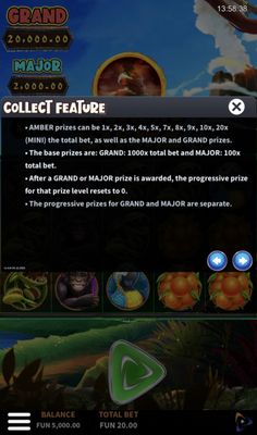 Feature Rules