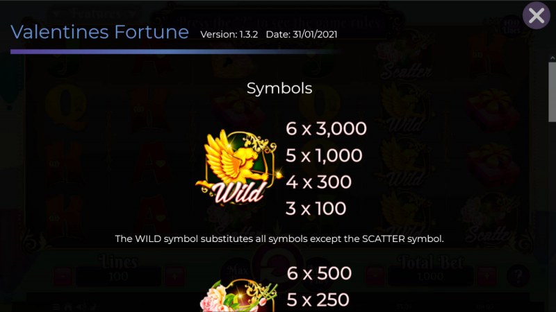 Wild Symbol Rules