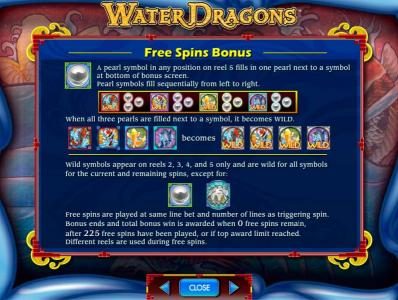 free spins bonus feature rules