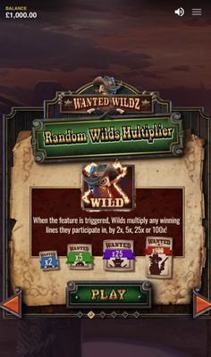 Random Wild Multiplier