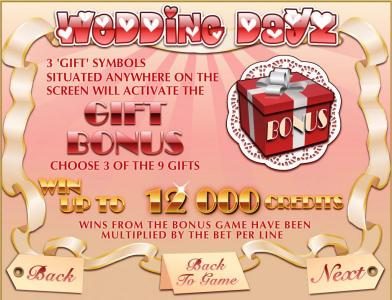 bonus feature rules and paytable