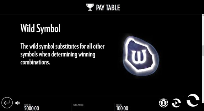 The wild symbol substitutes for all other symbols when determining winning combinations.