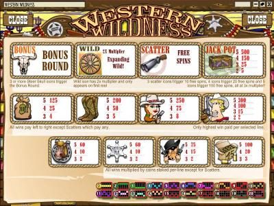 paylines diagrams and slot game symbols paytable