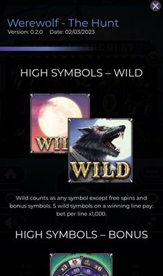 Wild Symbol