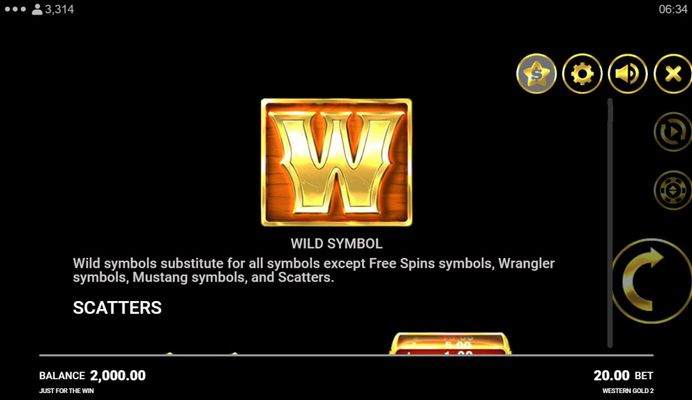 Wild Symbol