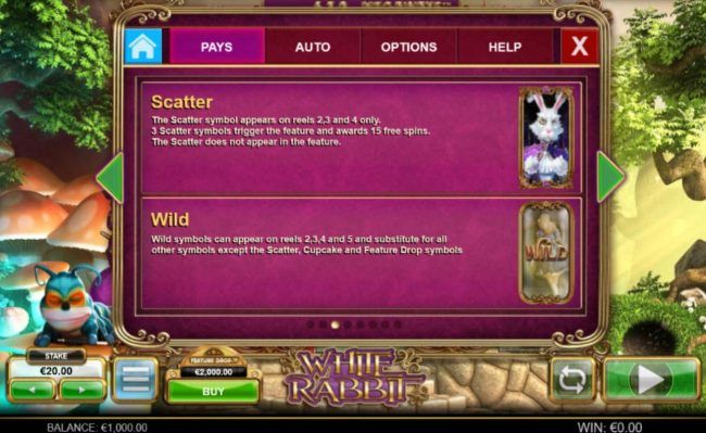 Wild and Scatter Symbols Rules and Pays