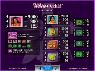 slot game symbols line awrds paytable