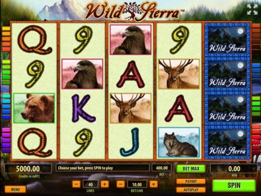 A wild outdoor adventure themed main game board, featuring five reels and 40 paylines with a $10,000 max payout