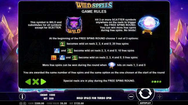 Wild and Scatter Symbols Rules and Pays