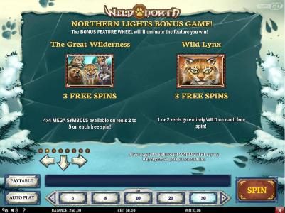 Northern Lights Bonus game Rules - The Great Wilderness and Wild Lynx
