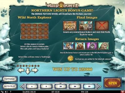 Northern Lights Bonus game Rules - Wild North Explorer