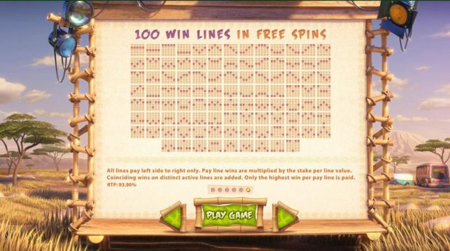 100 Win Lines in Free Spins