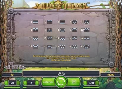 payline diagrams