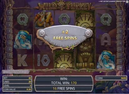 stacked wild symbols triggers 2 free spins during free spins feature