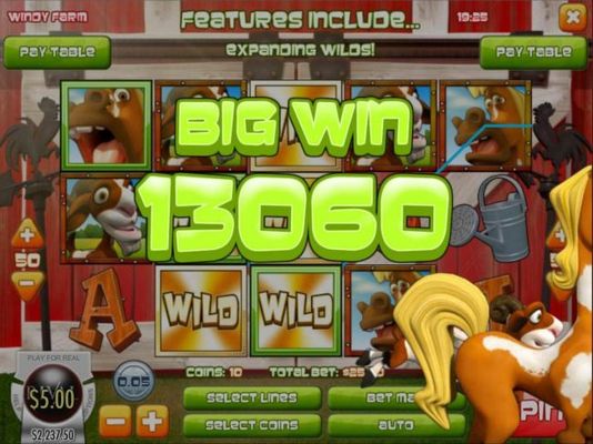 A 13,060 coin mega-win triggered by expanding wilds triggering multiple winning combinations.