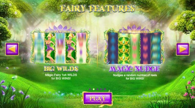 Fairy Features - Big Wilds and Magic Nudge.