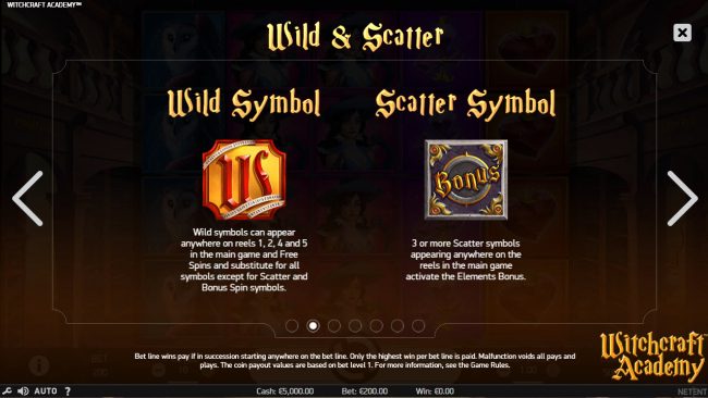 Wild and Scatter Symbol Rules