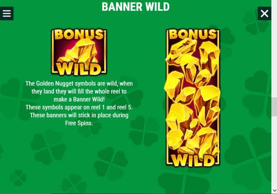 Wild Symbol