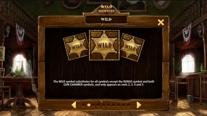 Wild Symbol Rules