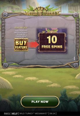 Buy Feature
