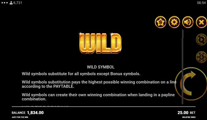 Wild Symbol