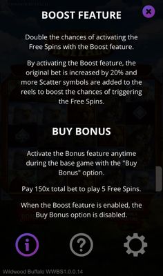 Feature Rules