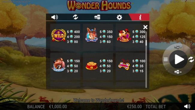 High value slot game symbols paytable