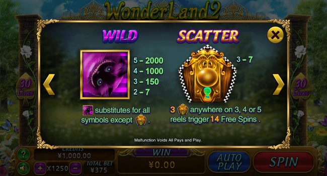 Wild and Scatter Symbol Rules