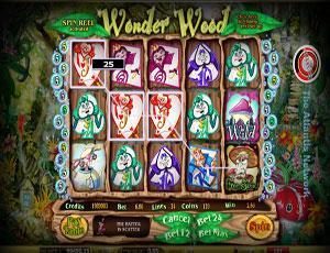 wonder wood slot