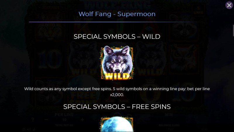 Wild Symbol