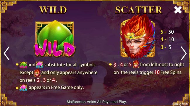 Wild and Scatter Symbol Rules