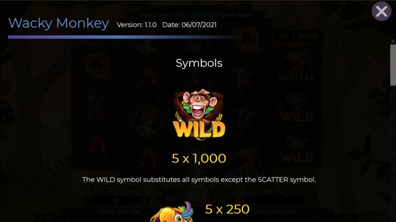 Wild Symbol Rules