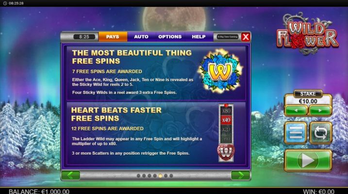 Free Spin Feature Rules