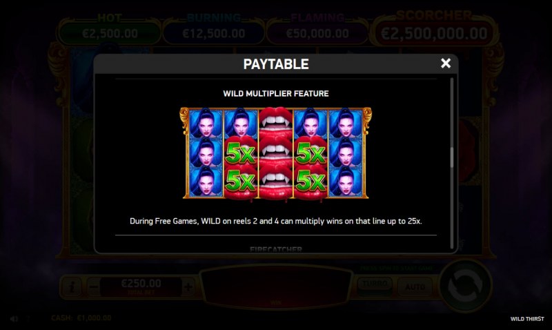 Wild Multiplier Feature