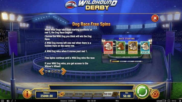 Free Spins Rules