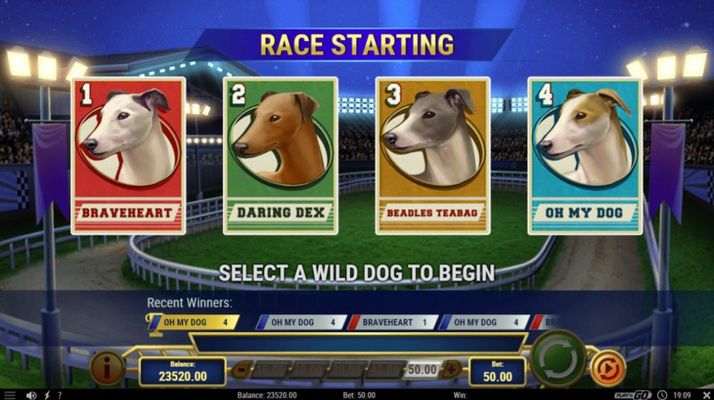 Select a wild dog to begin free spins