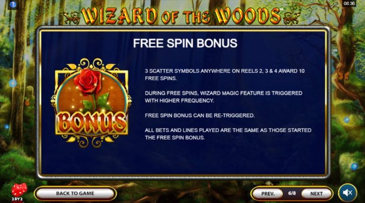 Free Spin Feature Rules