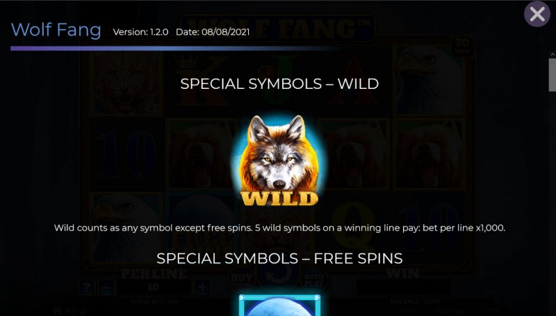 Wild Symbol Rules