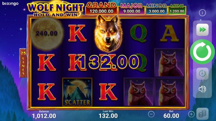 Wolf Night Hold and Win :: Multiple winning paylines