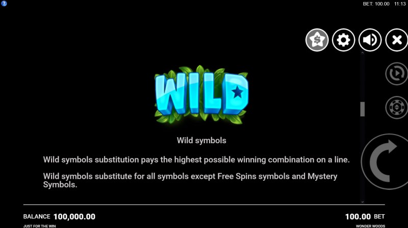 Wild Symbols Rules