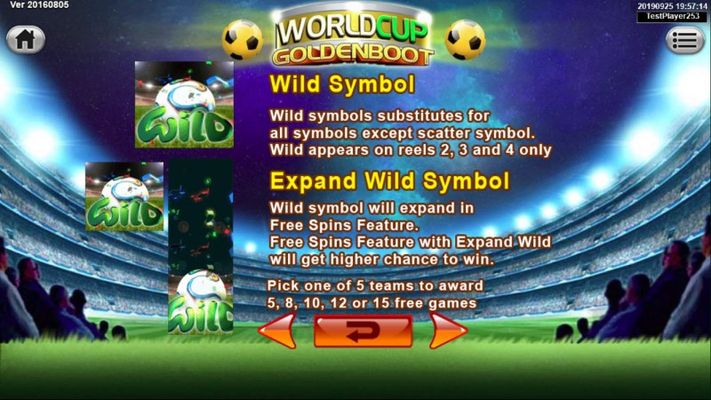 Wild Symbols Rules