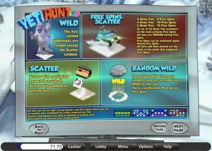 wild, free spins/scatter, scatter and random wild game rules
