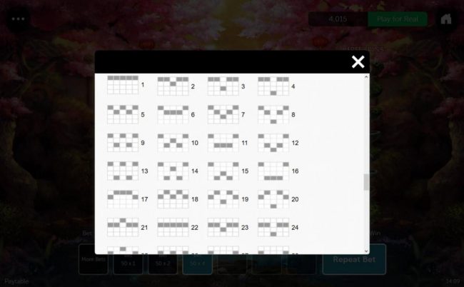 Payline Diagrams 1-24