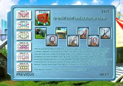 Payline diagrams and wild symbol rules. The wild symbol is only available on reels 2, 3 and 4.