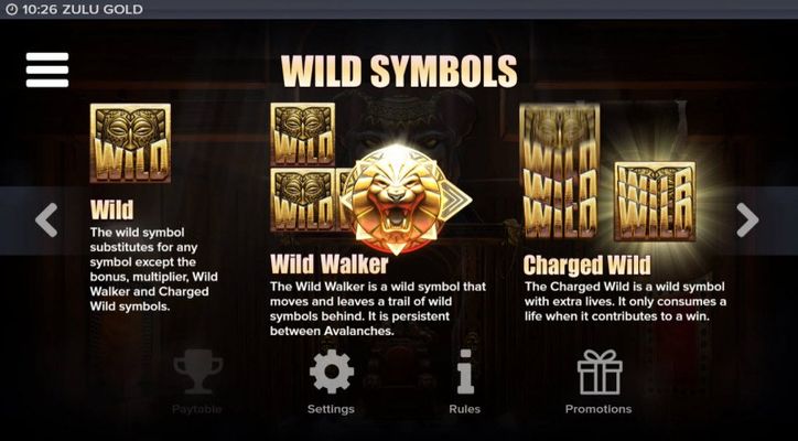 Wild Symbol Rules